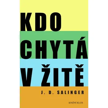 Kdo chytá v žitě - Jerome David Salinger