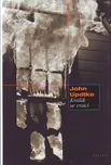 Králík se vrací - John Updike