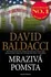 Mrazivá pomsta - David Baldacci