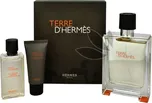 Hermes Terre D´ Hermes M EDT 100 ml +…