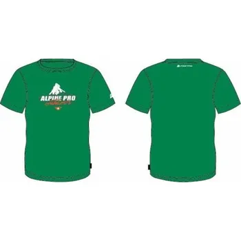 Pánské tričko Triko Alpine Pro Dani