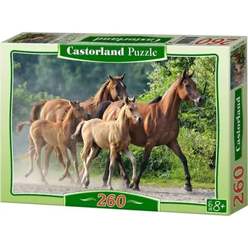 Puzzle Castorland Čistokrevní koně 260 dílků