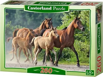 Puzzle Castorland Čistokrevní koně 260 dílků
