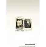 Celý den se nic nestane - Bianca Bellová