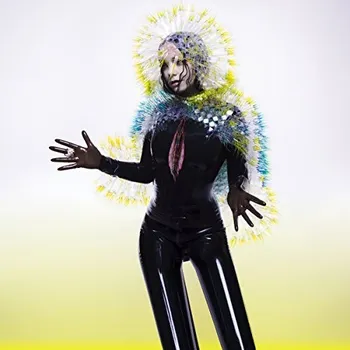 Zahraniční hudba Vulnicura - Björk [CD]