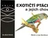 Encyklopedie Exotičtí ptáci a jejich chov - Lea Smrčková, Martin Smrček