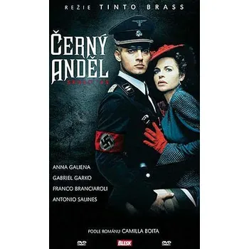 DVD film DVD Černý anděl (2002)