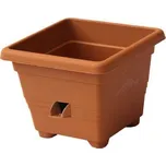 Plastia Bergamot 40 cm