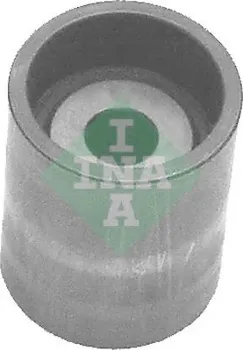 Rozvod motoru Vodící kladka INA (532 0197 10)