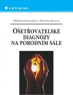 Ošetřovatelské diagnózy na porodním sále - Miloslava Kameníková
