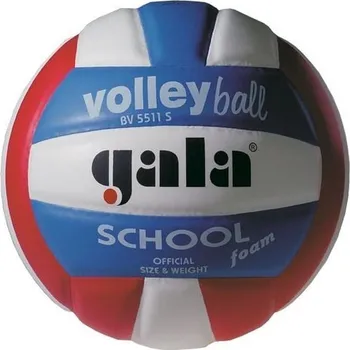 Volejbalový míč GALA SCHOOL 5511 S