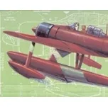 Nakajima Rufe (507) 419mm