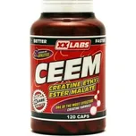 XXLabs Creatine Ethyl Ester Malate 120 kapslí