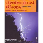 Cévní mozková příhoda - Valery Feigin
