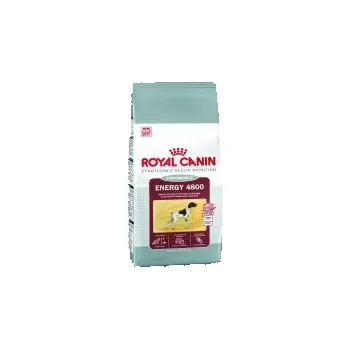 Krmivo pro psa Royal Canin Energy 4800