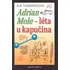 Adrian Mole: léta u kapučína - Sue Townsendová