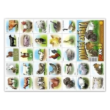 Pexeso MFP Pexeso Domácí zvířátka 