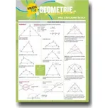 Geometrie pod lavicí - Irina Ševkunova