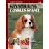Chovatelství Kavalír King Charles Španěl - Juliette Cunliffeová