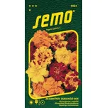 SEMO Aksamitník rozkladitý Durango Mix…