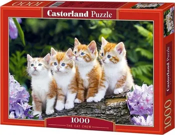Puzzle Castorland Kočky 1000 dílků