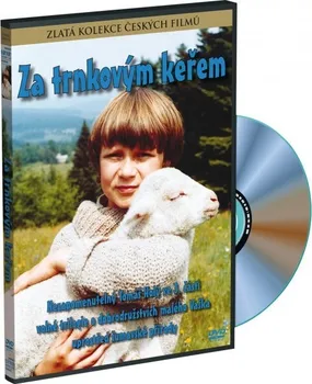 DVD film DVD Za trnkovým keřem (1980)