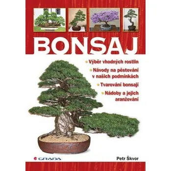 Bonsaj - Petr Škvor