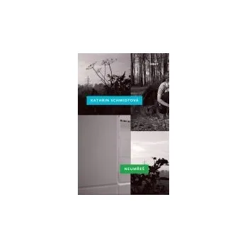 Neumřeš - Kathrin Schmidtová