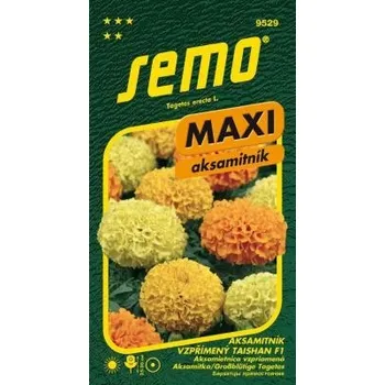 Semeno SEMO Aksamitník vzpřímený Taishan F1 série Maxi 15 ks