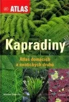 Příroda Kapradiny - Miloslav Studnička