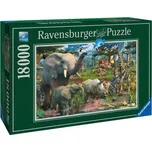 Ravensburger Divočina 18000 dílků