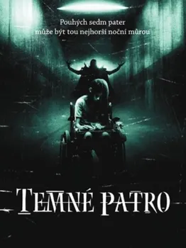 DVD film DVD Temné patro (2008)