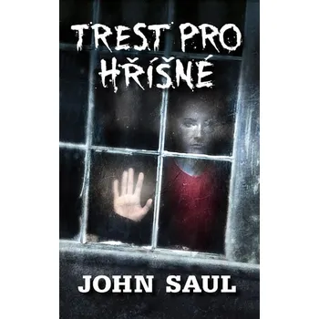 Trest pro hříšné - John Saul