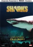 DVD Pátrání po velkém žralokovi (1995)