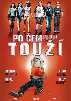 DVD film DVD Po čem kluci touží (2008)
