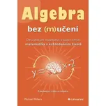 Algebra bez (m)učení - Michael Willers