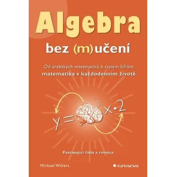 Matematika Algebra bez (m)učení - Michael Willers
