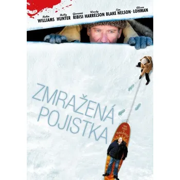 DVD film DVD Zmražená pojistka (2005)