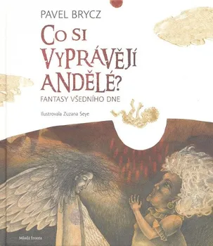 Co si vyprávějí andělé - Pavel Brycz
