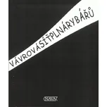 Síť plná rybářů - Alena Vávrová