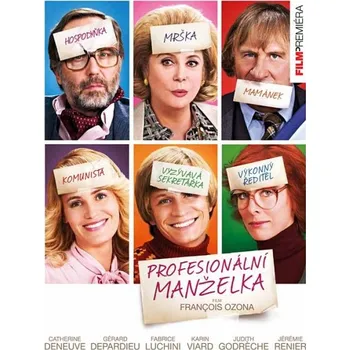 DVD film Recenze DVD Profesionální manželka (2010)