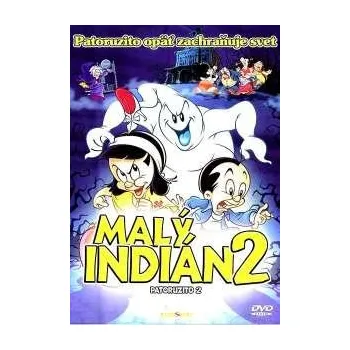 DVD film DVD Malý indián 2 (2006)
