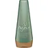 Šampon Bio Ionic Agave Smoothing šampon