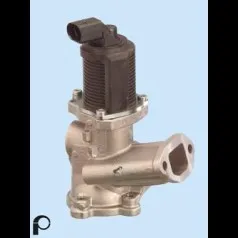 Ventil palivového systému EGR ventil Pierburg (PG 7.00020.24.0)