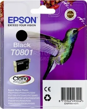 Originální Epson T0801 (C13T08014011)