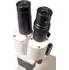 Mikroskop Levenhuk 2ST