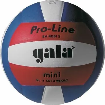 Volejbalový míč Gala PRO Line 4051 S