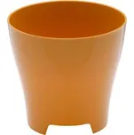 Plastia Luna 14 cm medový