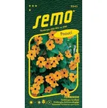 SEMO Tunbergie oranžová s okem pnoucí 1…