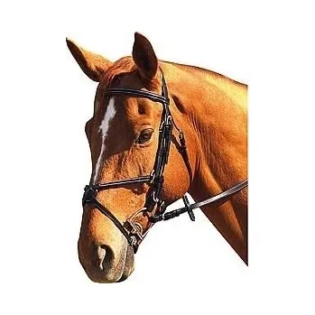 Norton uzdečka s mexickým nánosníkem